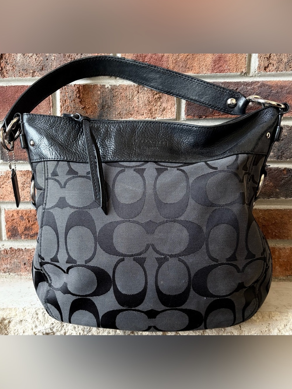 Coach Zoe Hobo Bag